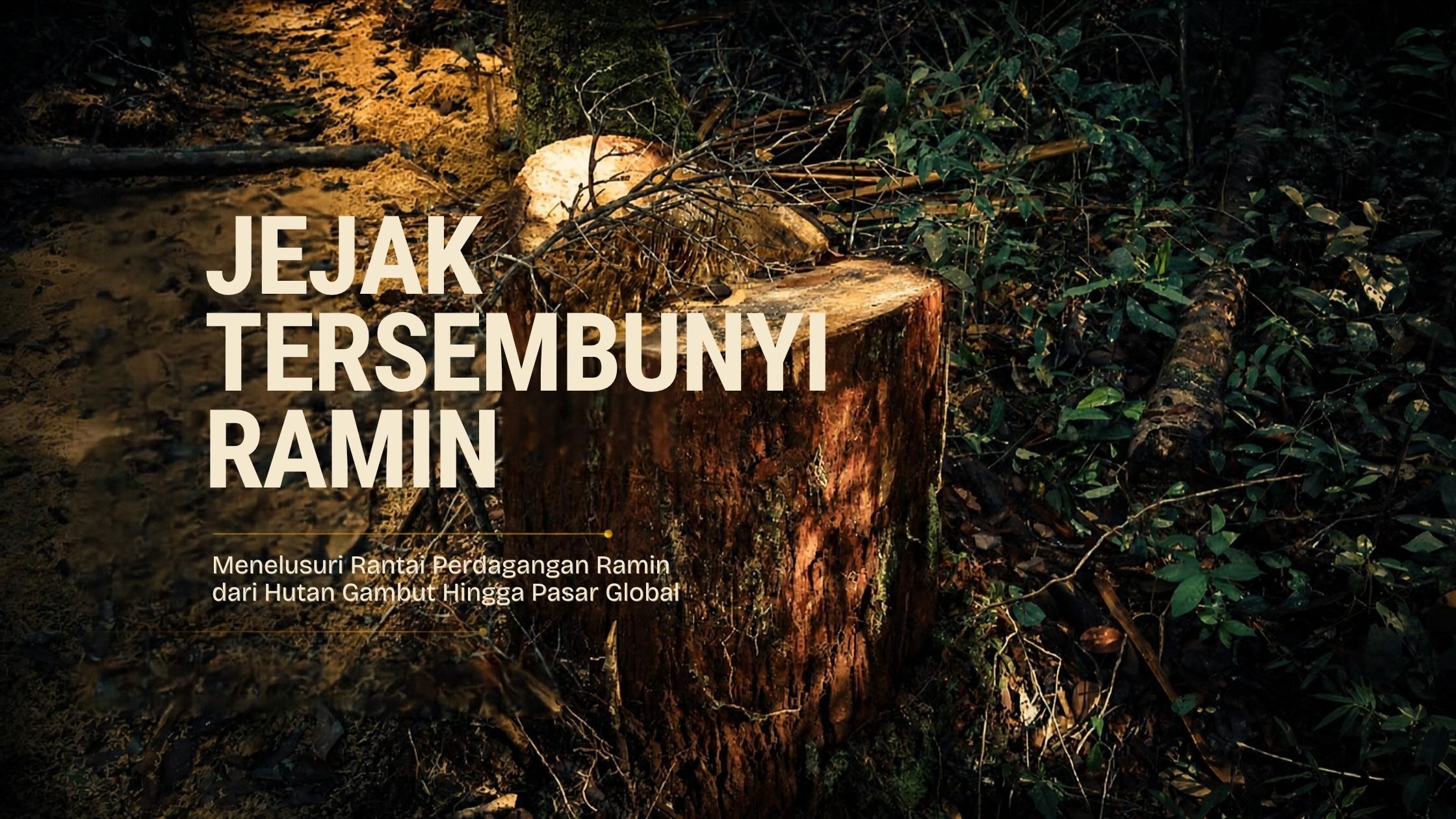 JEJAK TERSEMBUNYI RAMIN: Menelusuri Rantai Perdagangan Ramin dari Hutan Gambut hingga Pasar Global